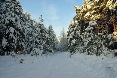 梦回XP三维弹球 《弹球M》将于11月30日推出